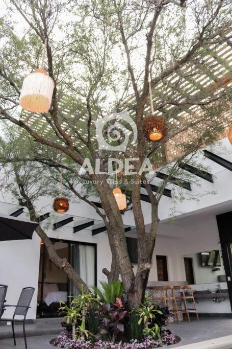 Villa Huizache Alberca Privada+Exclusividad+Lujo San Martin de las Piramides Luaran gambar